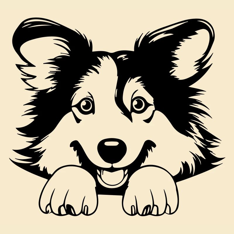 Collie