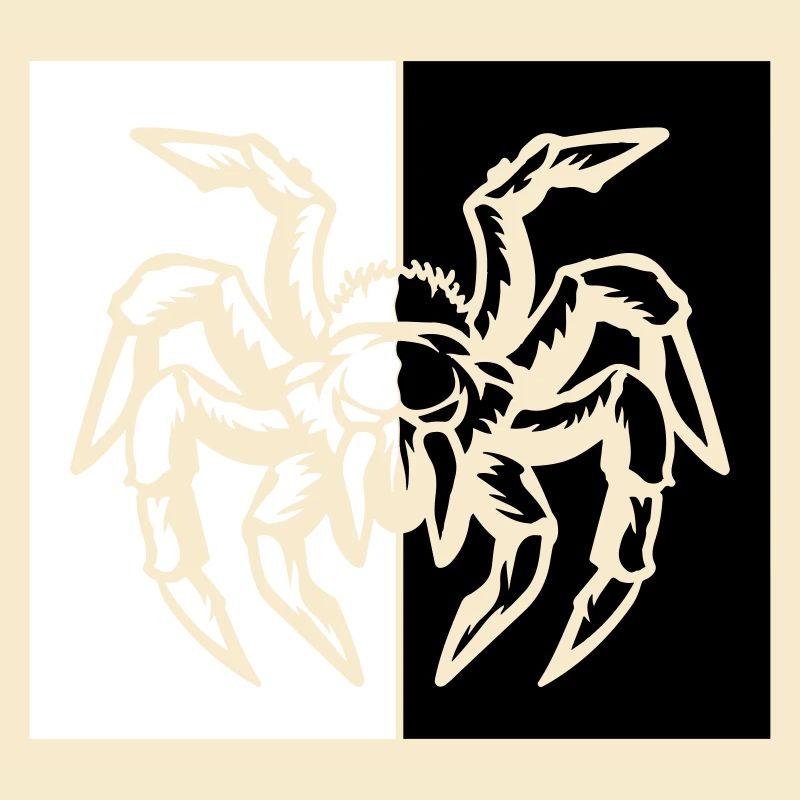 spider spider
