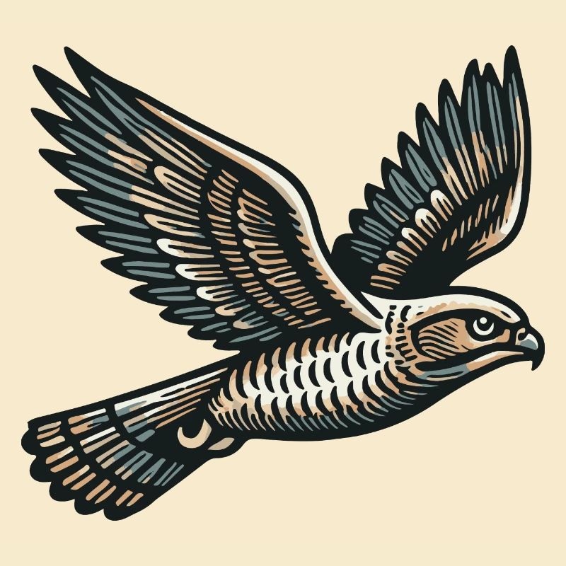 Hawk