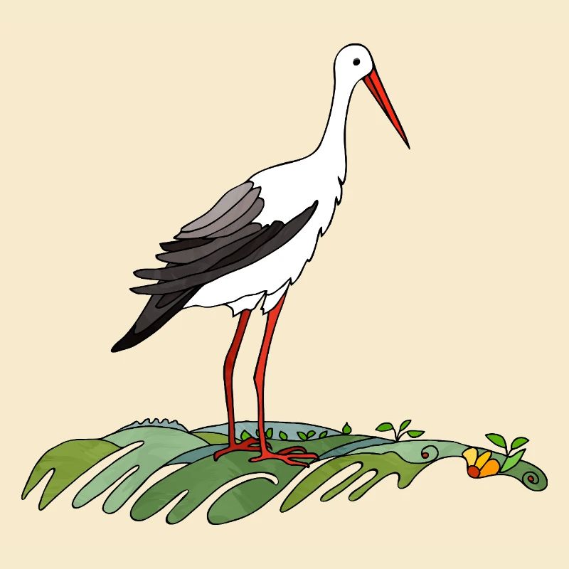 Oiseaux