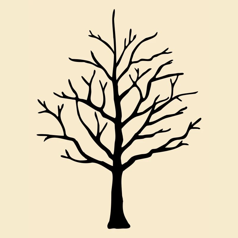Baum