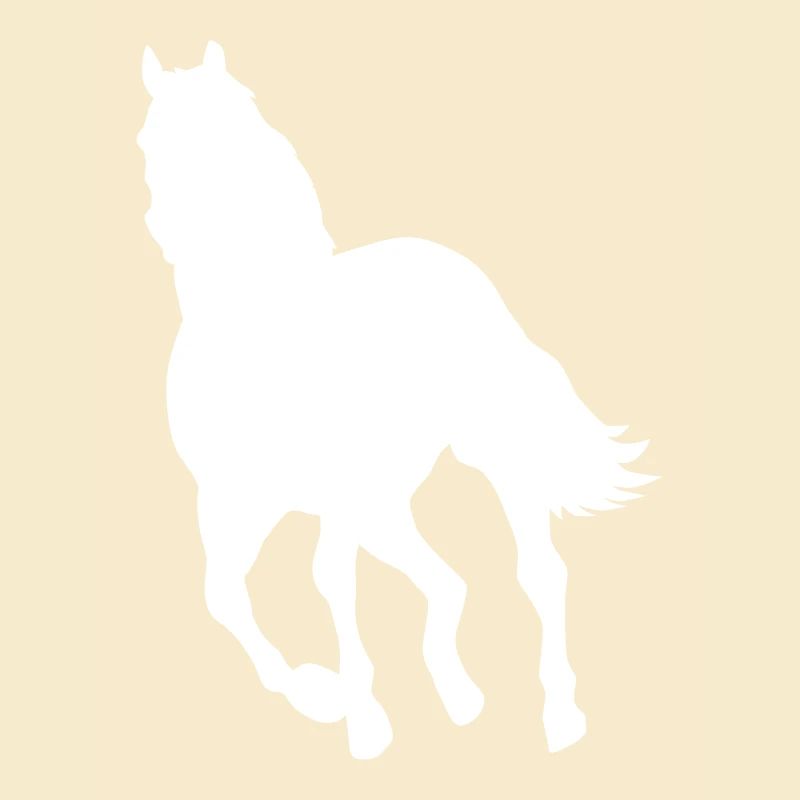 Pferd Pony Wildpferd