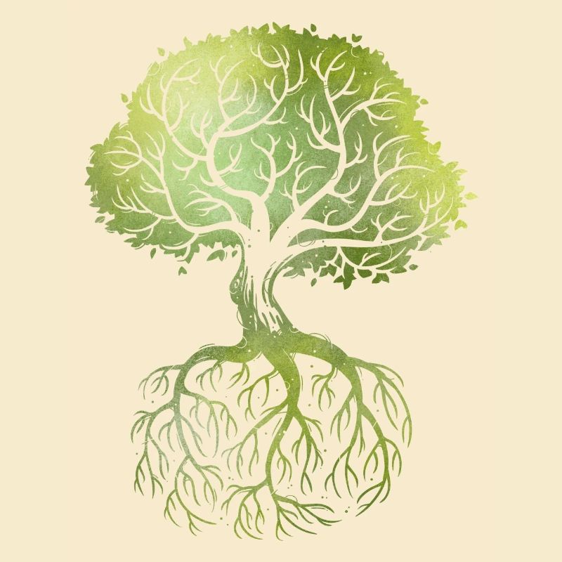 Roots