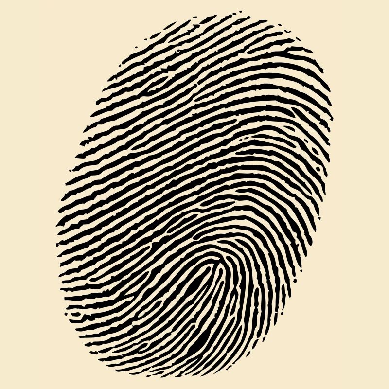 Finger - empreintes digitales
