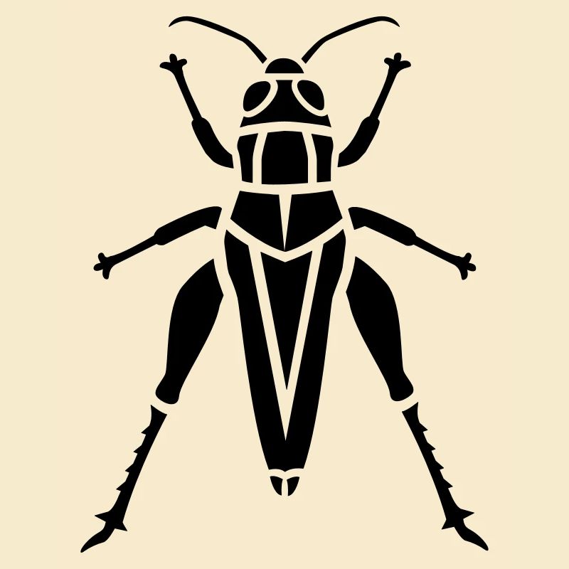Insect - grasshopper