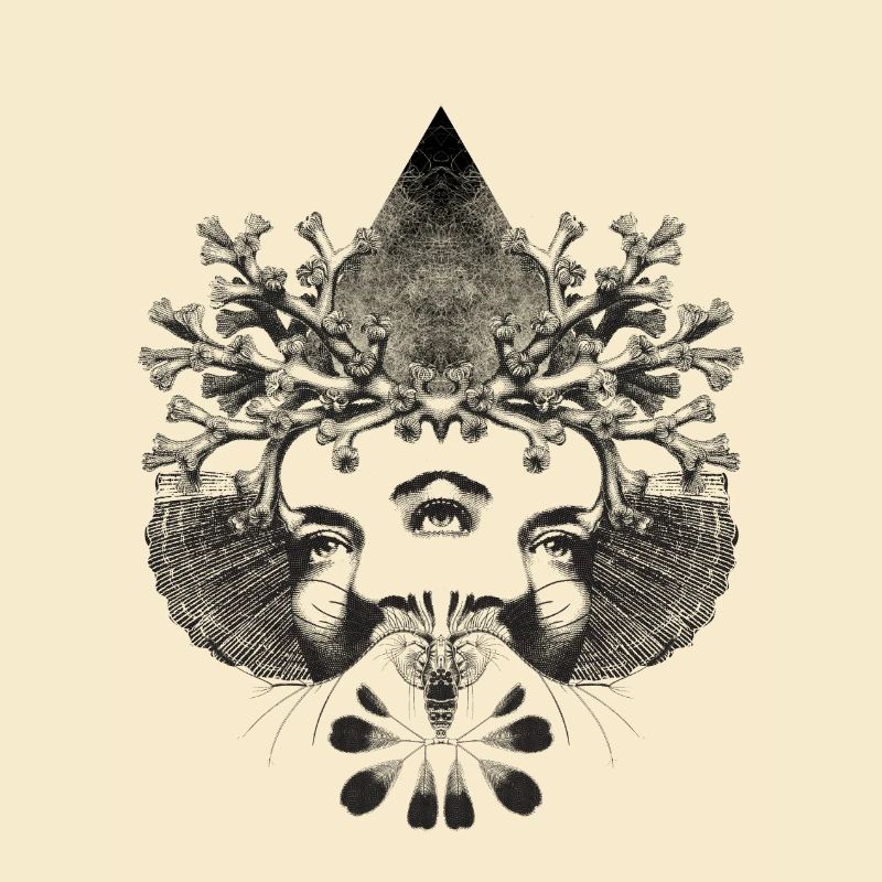 Mystical cyclophate