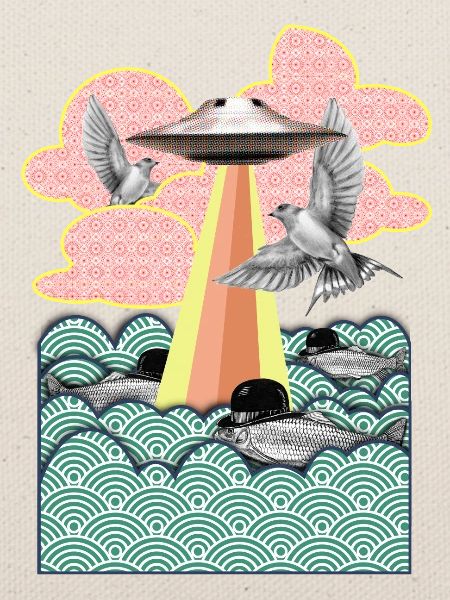 Flamingo