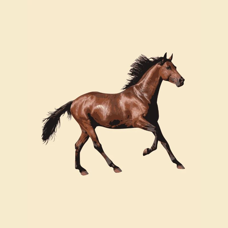 cheval brun