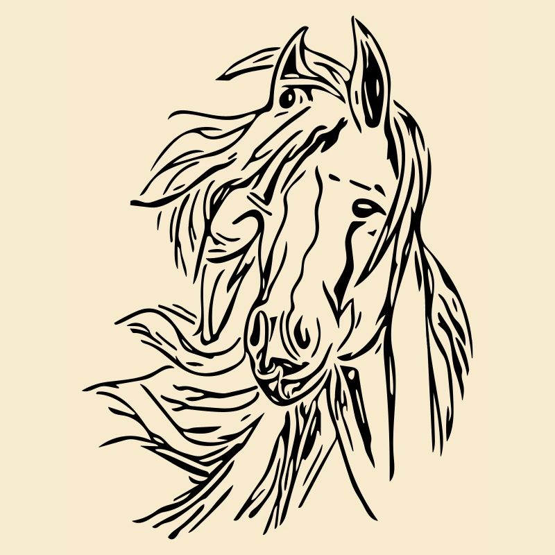 Pferd - Kopf Vector