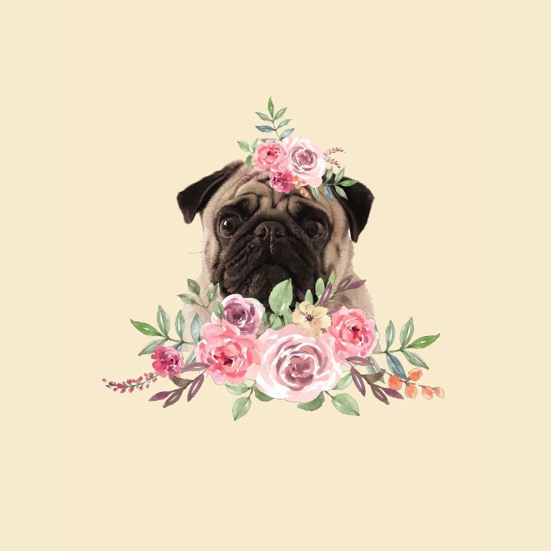 Mops