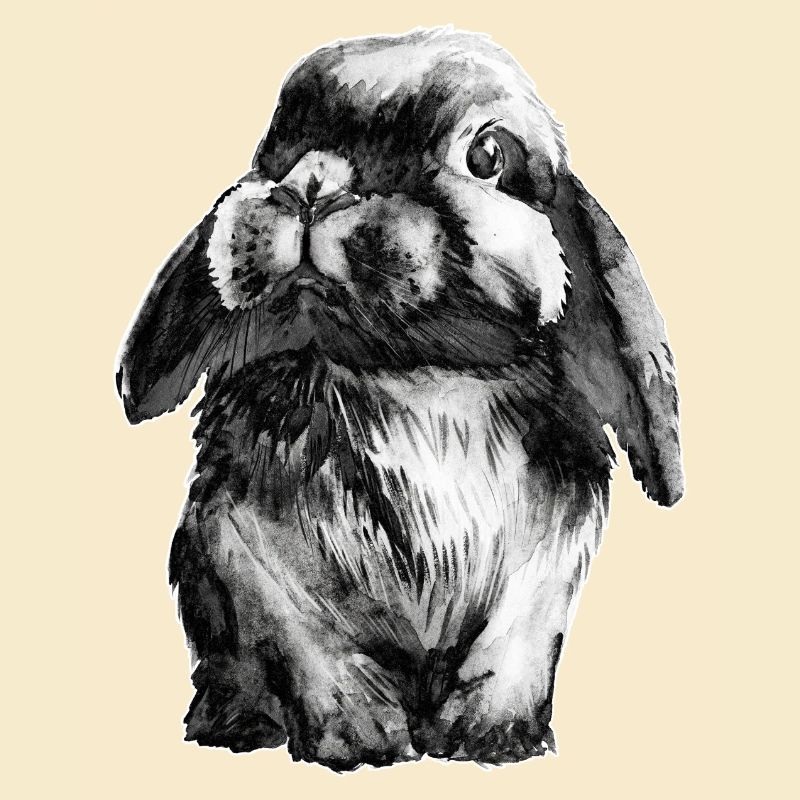 Rabbit Schlapohr