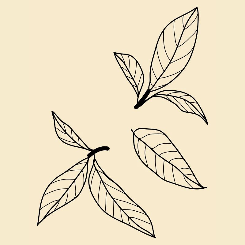 nature leaves 2 c1