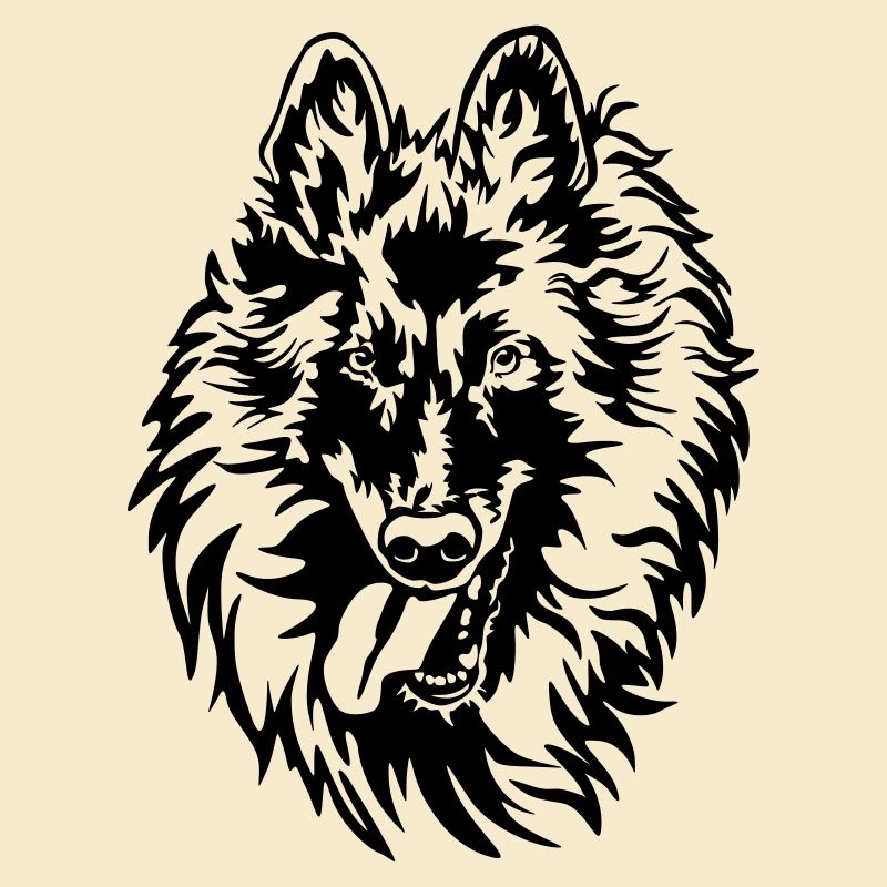 Tervuren Kopf