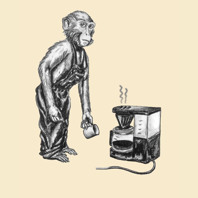 Singe et café