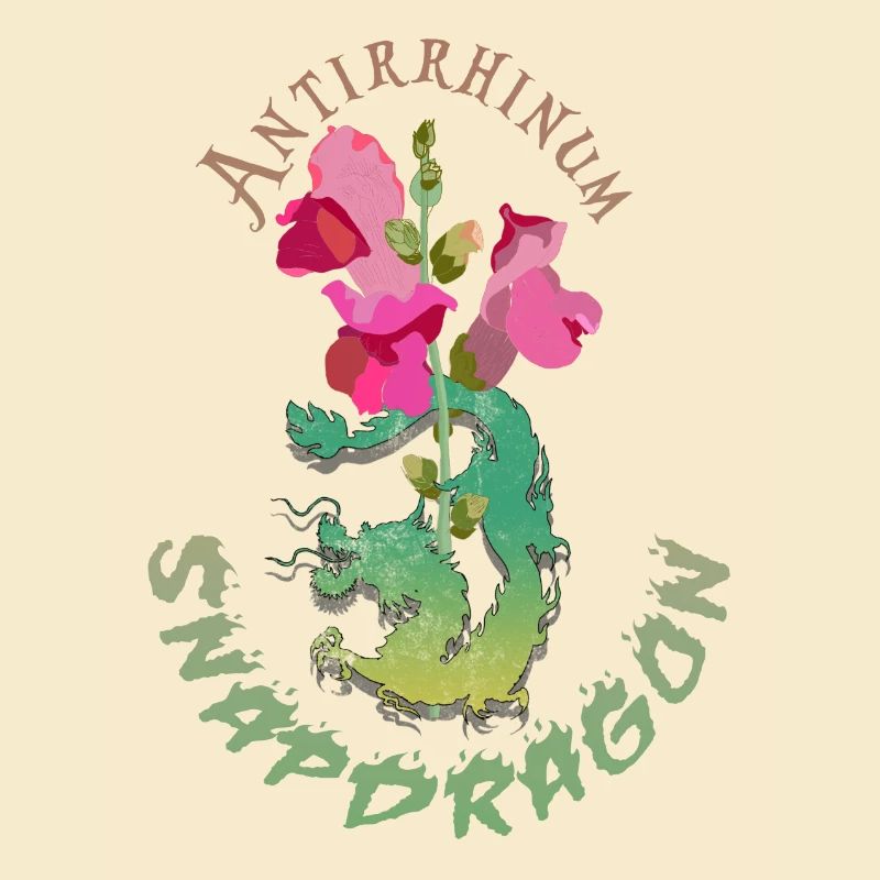 Drachenblumen