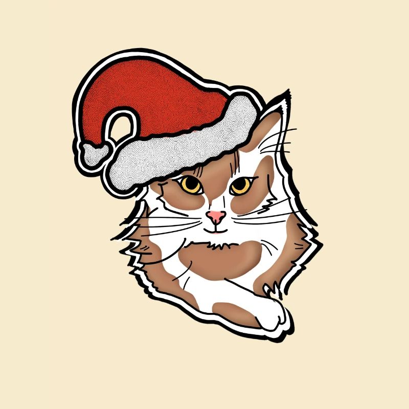 cat with chrismas hat