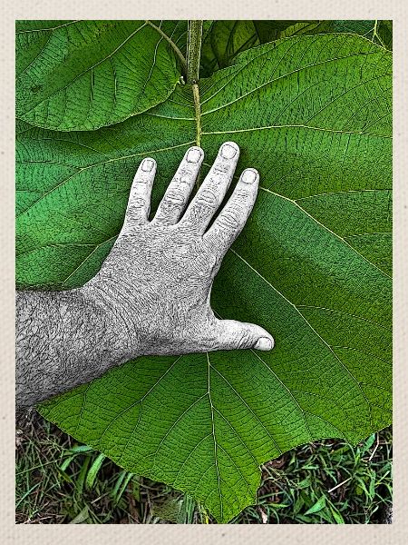 Die Hand am Leben