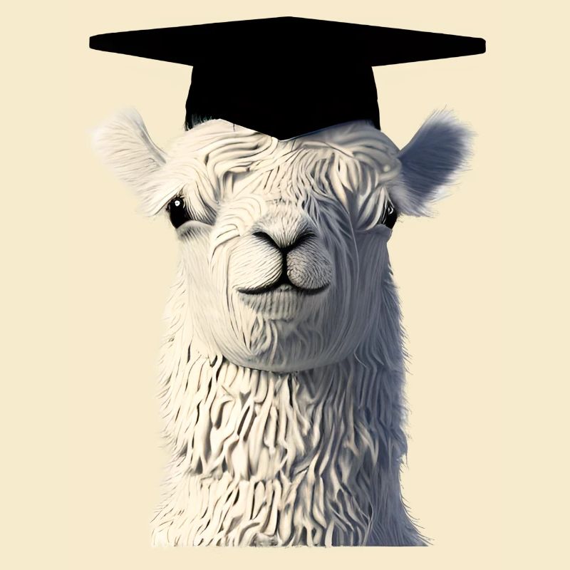 Schulabschluss Bachelor Studium Absolvent Alpaka
