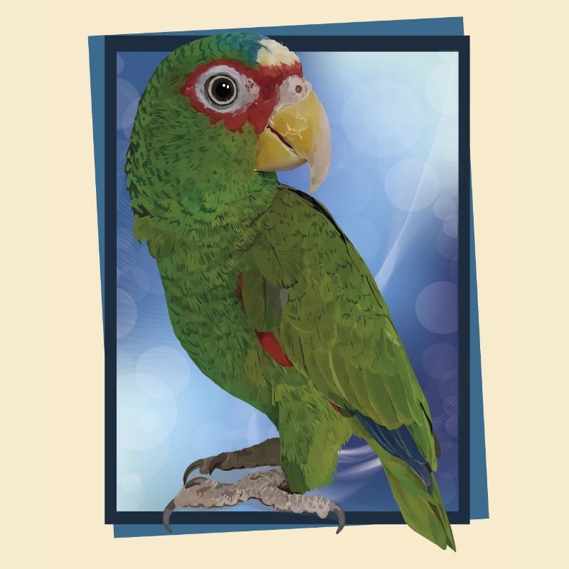 White-fronted parrot