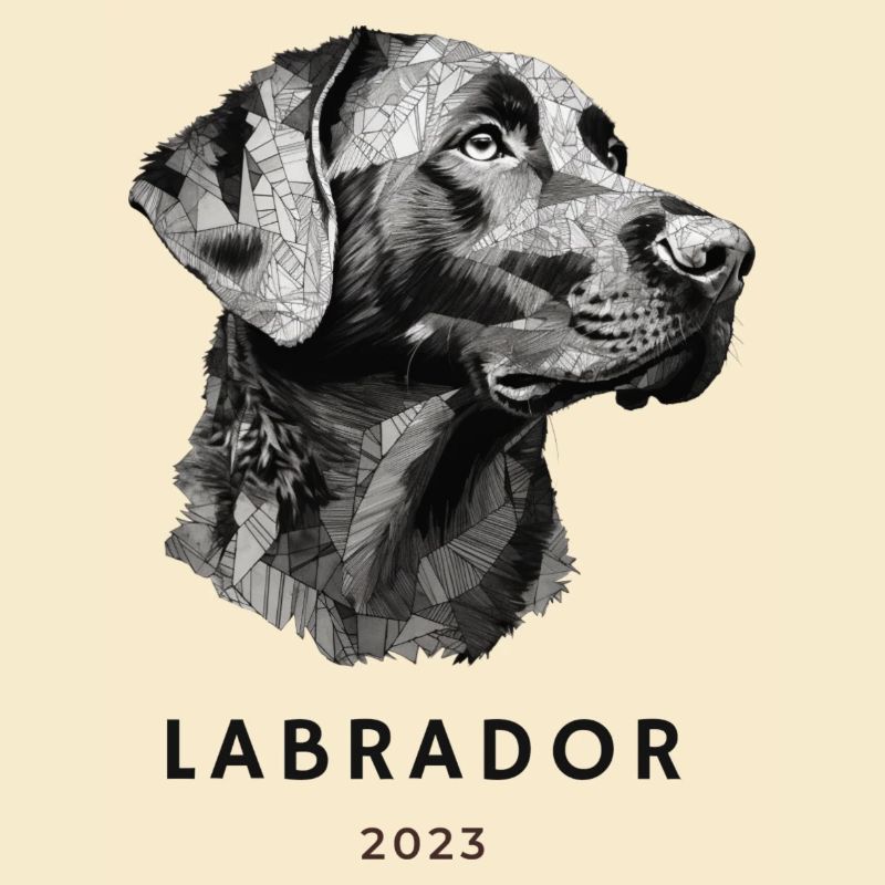 Labrador