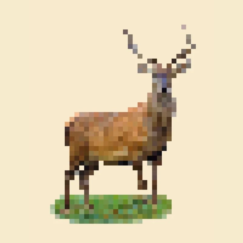 Pixel Hirsch
