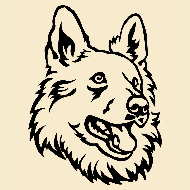 Swiss Shepherd Head