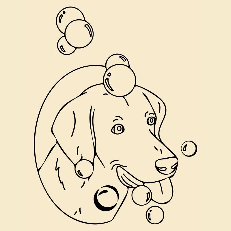 Hundewasser