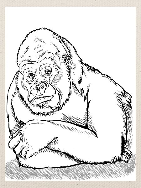 Nachdenklicher Gorilla