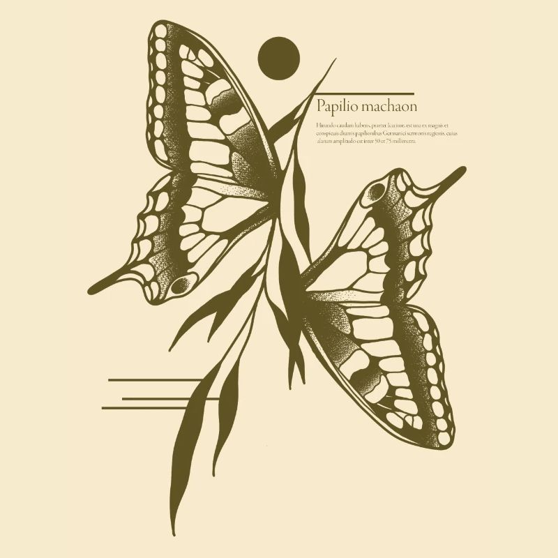 Papillon à queue d’aronde - Variante