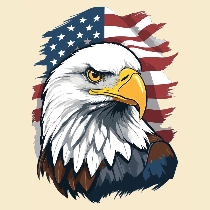 Bald eagle