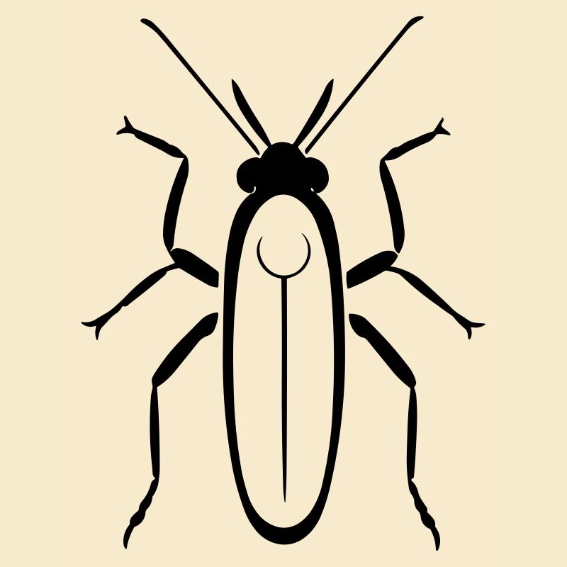 Termite