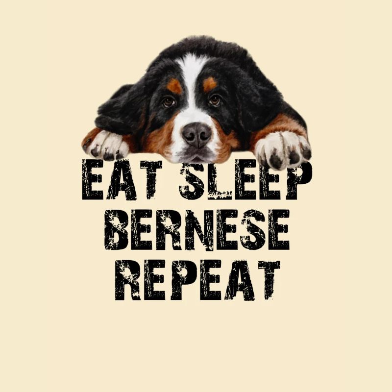 Berner Sennenhund