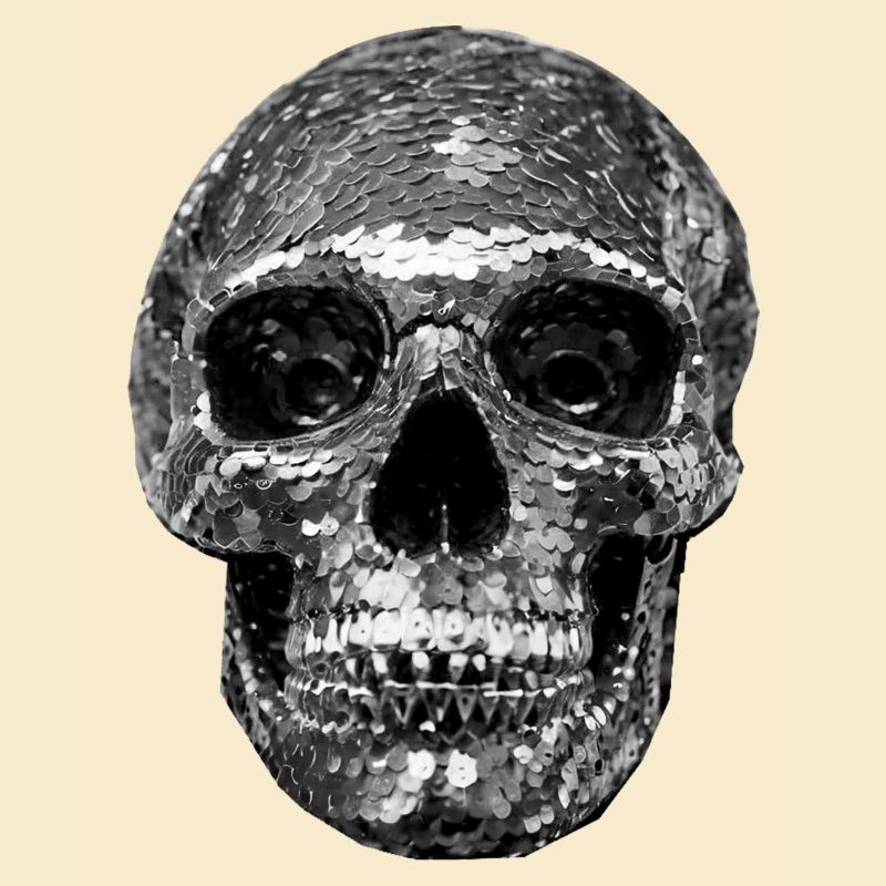 Skull, metallic, sequins, rivets, silver
