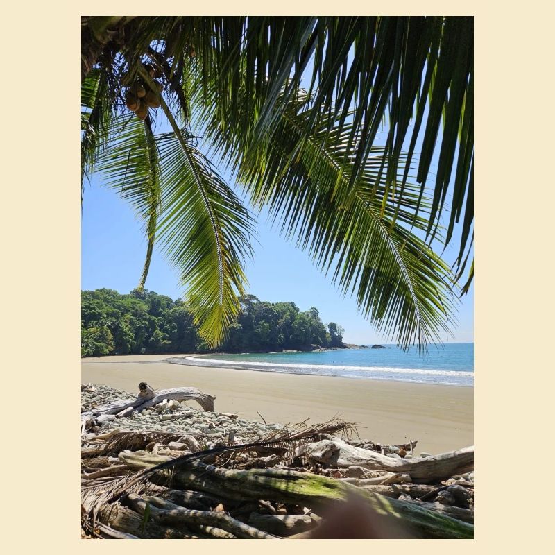 e30b78c9 5f3c 40fe a815 e6f4248a8ac0