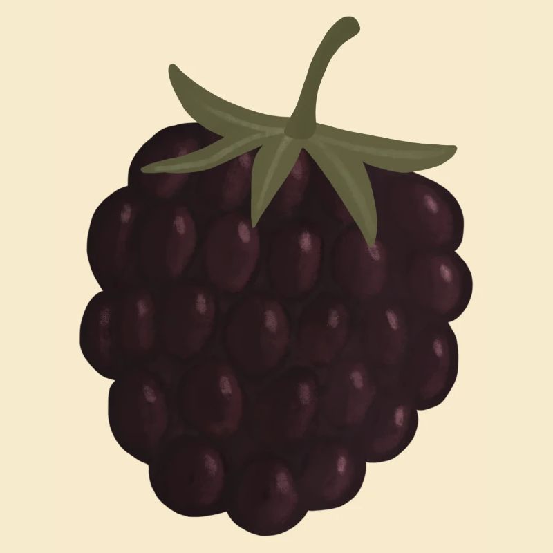 Brombeere