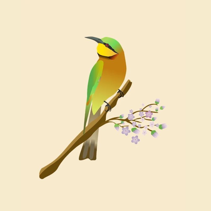 Dwarf Bee-eater Digital Illustration