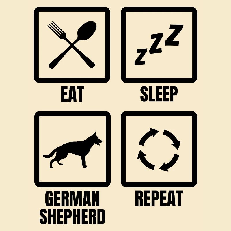 German Shepherd Daily Routine