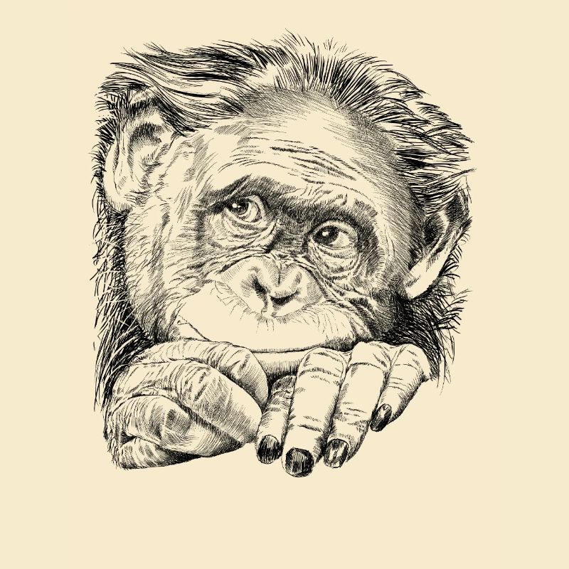 Affe