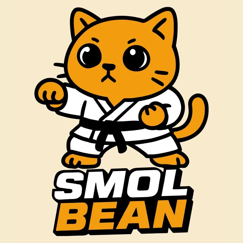 Cat fighters in the dojo