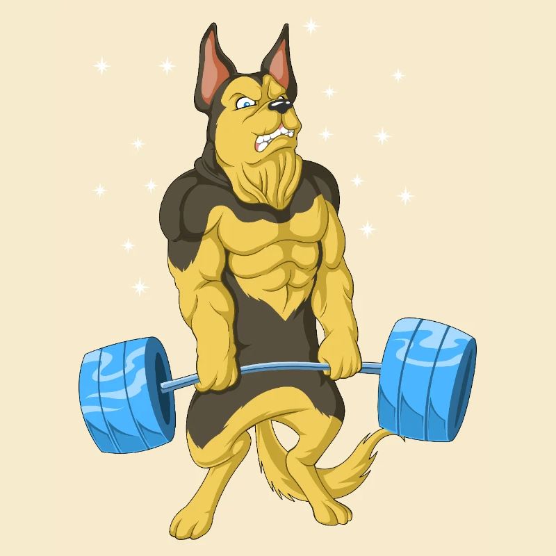 Deutscher Schäferhund Gewichtheben