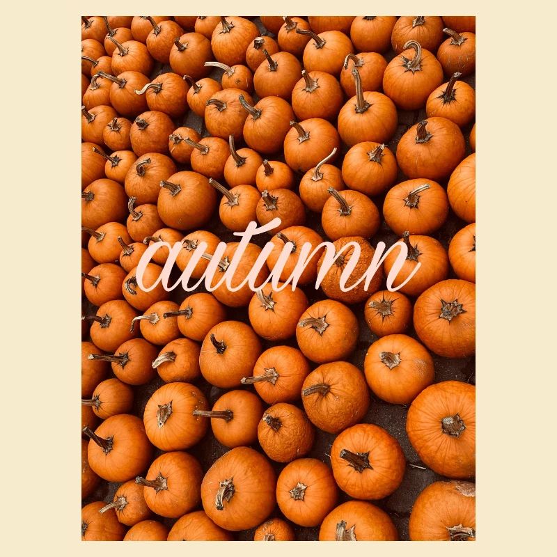 Herbst Autumn pumpkin