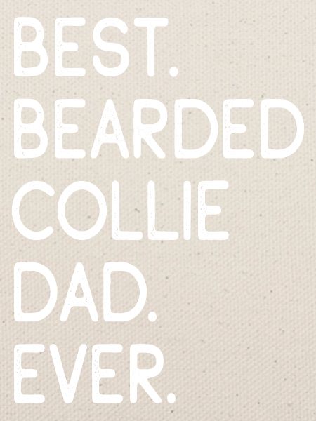 Bearded Collie