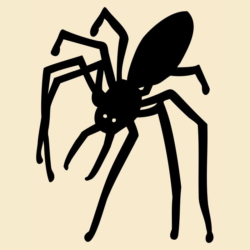 Spinne