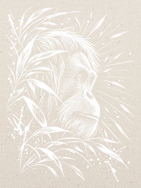 Orang Utan
