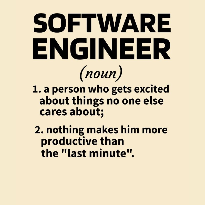 Softwareingenieur Software Engineer Techniker