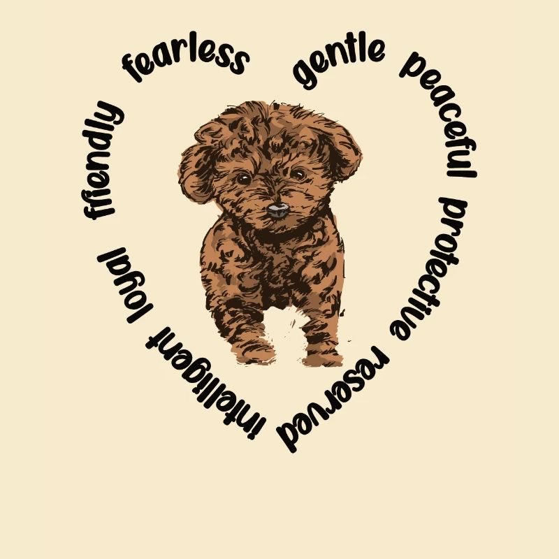 Cavapoo Hundeliebhaber Cavoodle Mama Cavapoo Hund