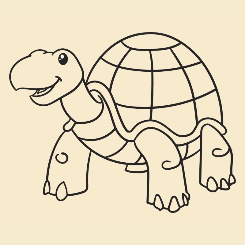 Schildkröte, Schildkröten, Geschenk, Geschenkidee
