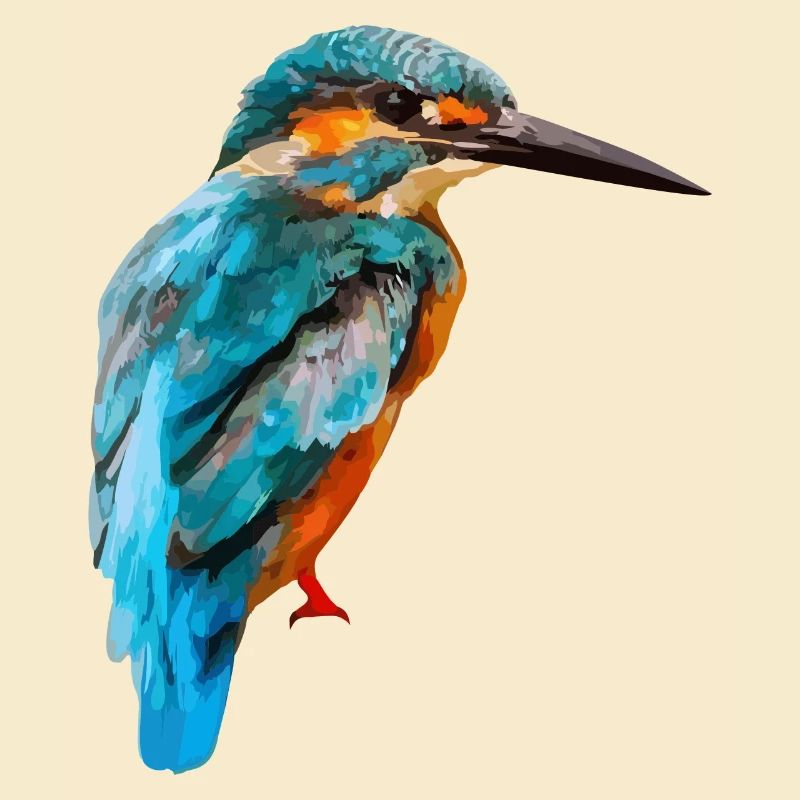 063 - Eisvogel