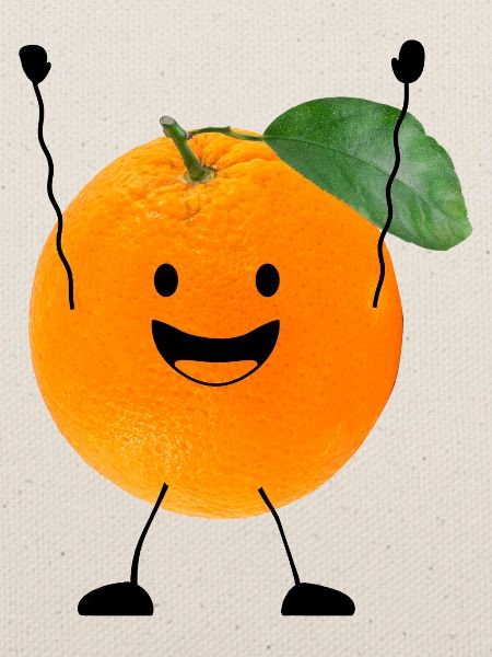 orange mit gesicht