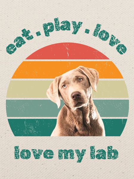 love my lab